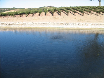 Achevee vineyard pond