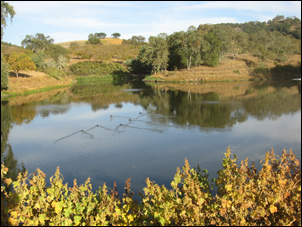 Adelaide Vineyards reservoir
