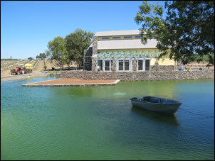 Bianchi winery pond