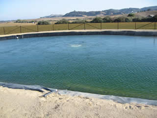 Fire Pond