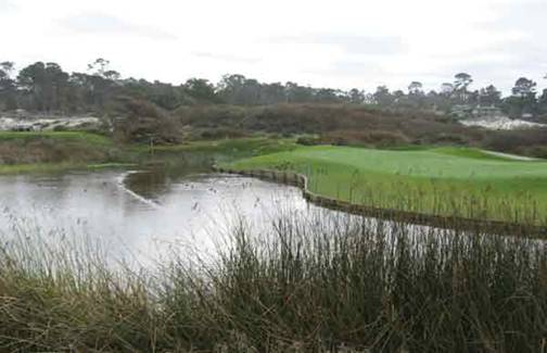 Spanish Bay - Pebble Beach