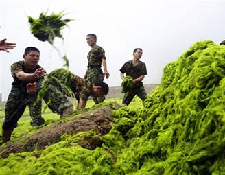 China%20algae%20photo%20AP%201