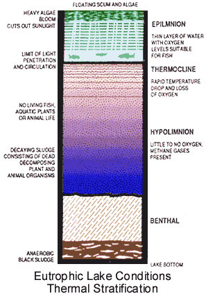 aeration