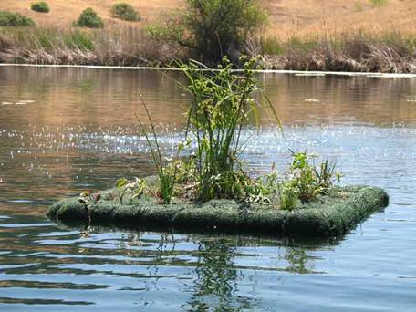 Floating-Wetland-at-Jordan-