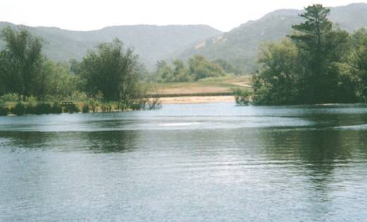 Moore's Lake Bubble Plume
